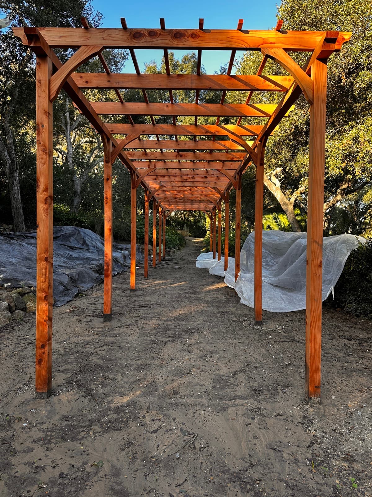 Wooden pergola restored by dustless blasting
